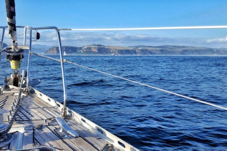 Knysna: 1.5-Hour Sailing Experience - The Value of This Experience