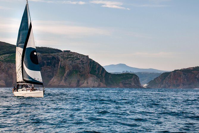 Knysna Day Sail & Lunch Charter 2.5 Hour - The Highlights That Make This Cruise Special