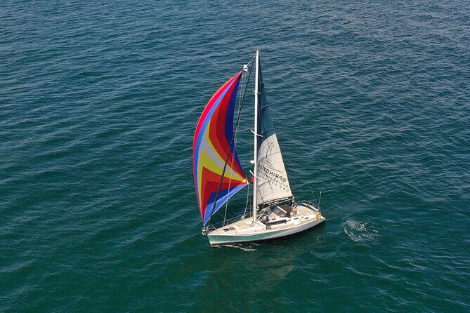 Knysna Day Sailing Cruise 1.5 hour - Who Will Love This Tour?