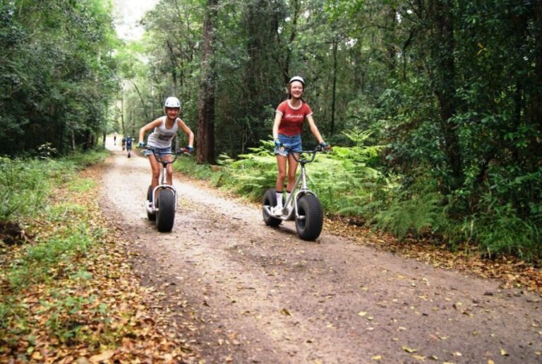 Knysna: Downhill Forest Scootour Adventure - The Route and Experience
