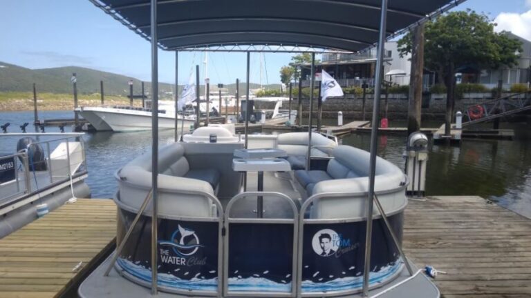 Knysna: Knysna Lagoon Pontoon Boat Cruise - The Scenery: Natural Beauty and Local Charm