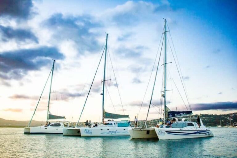 Knysna: Luxury Catamaran Marine Adventure Tour - What’s Included and What’s Not