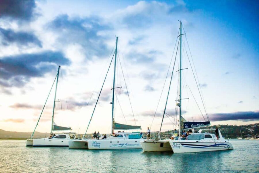 Knysna: Luxury Catamaran Marine Adventure Tour - What’s Included and What’s Not