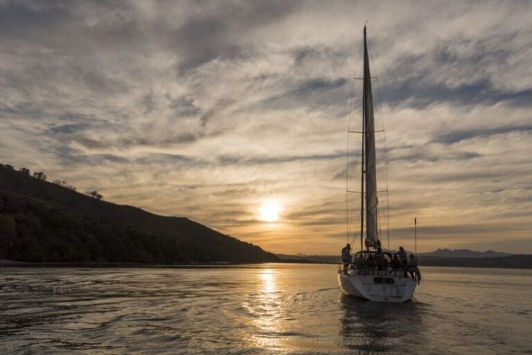 Knysna Sunset Sailing Cruise with Light Dinner and Wine - In Closing: Who Will Love This Experience?