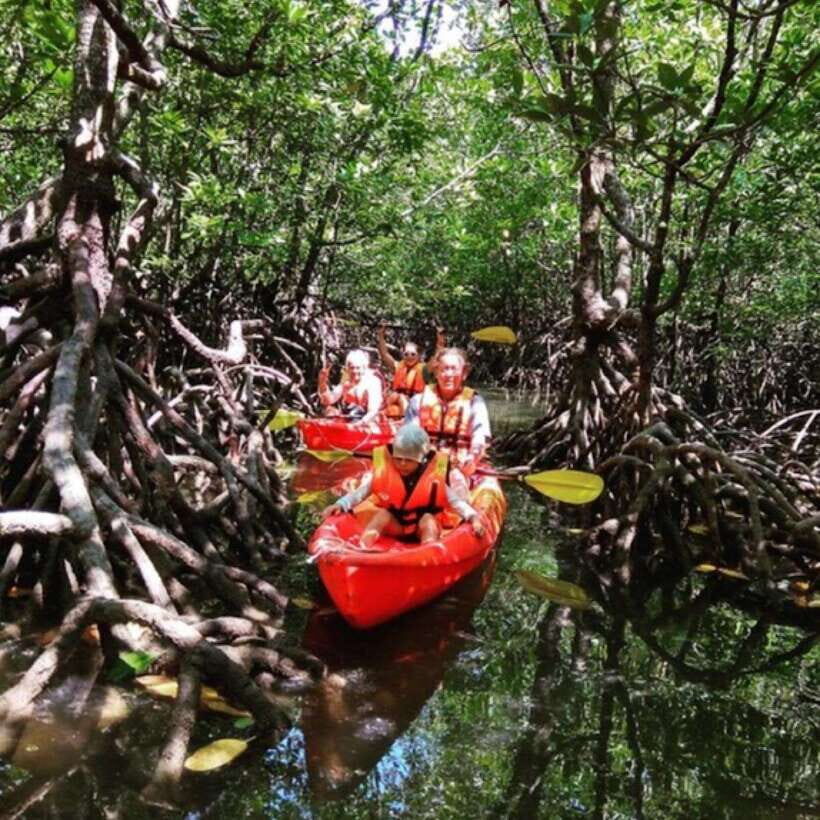 Ko Lanta: HALF DAY EXPLORE MANGROVE KAYAKING TOUR AND LUNCH - An In-Depth Look at the Tour Experience