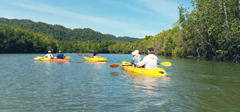 Ko Lanta: Half-Day Mangrove Eco Kayak Experience with Lunch - The Value of This Experience