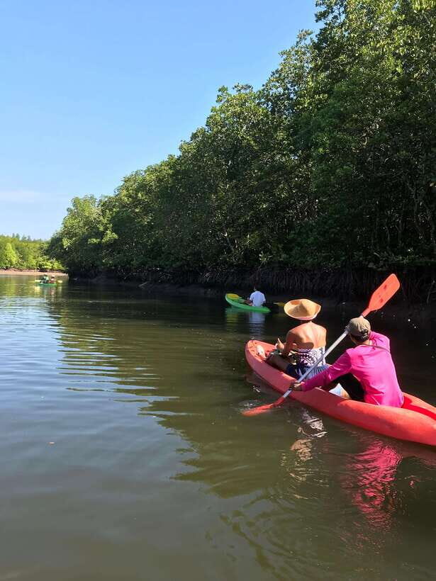Ko Lanta: Half-Day Mangrove Kayaking Tour with Lunch - Highlights and Authentic Experiences