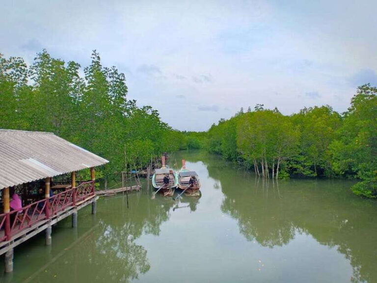 Ko Lanta: Mangrove Forest Boat Tour with Lunch or Dinner - Practical Details and Considerations
