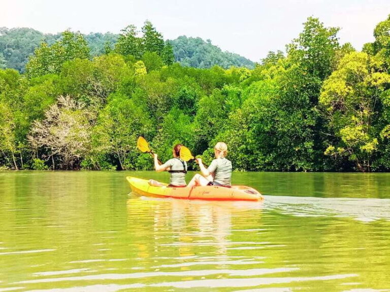 Ko Lanta: Mangrove Kayaking with Lunch and Hotel Transfer - Key Points