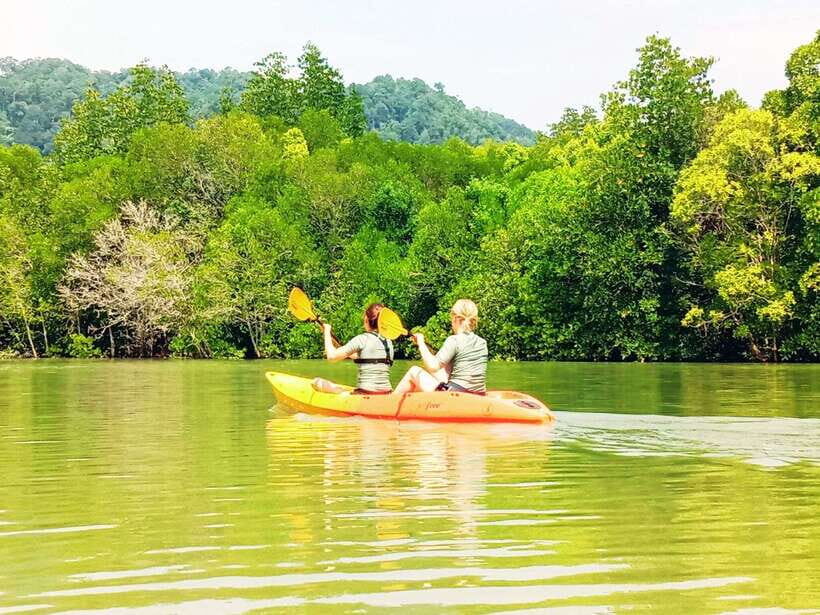 Ko Lanta: Mangrove Kayaking with Lunch and Hotel Transfer - Key Points