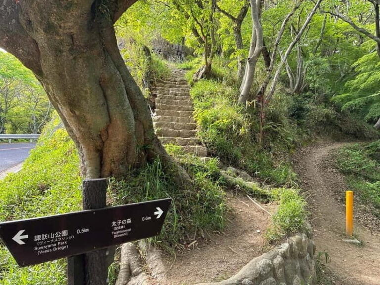 Kobe: Night Hike Adventure and local dining experience tour - Why This Tour Works