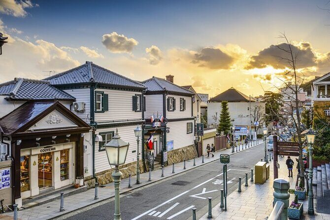 Kobe Private Car City Tour - Who Should Consider This Tour?
