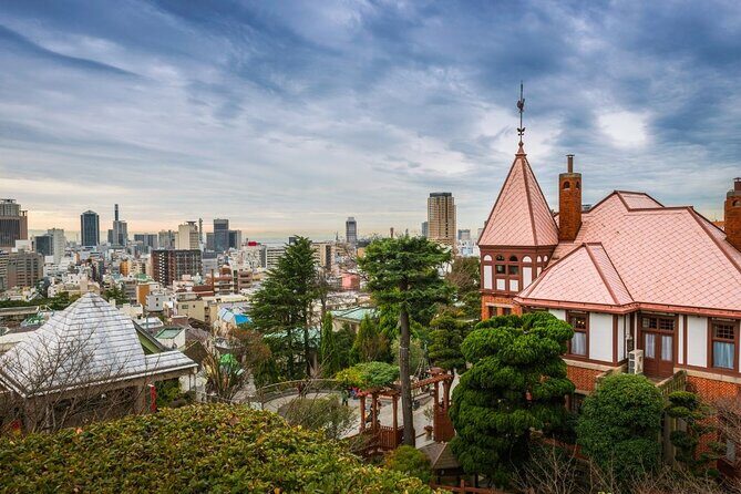 Kobe : Private Custom Tour (Excursion to Osaka / Kyoto possible) - What Makes This Tour Stand Out?