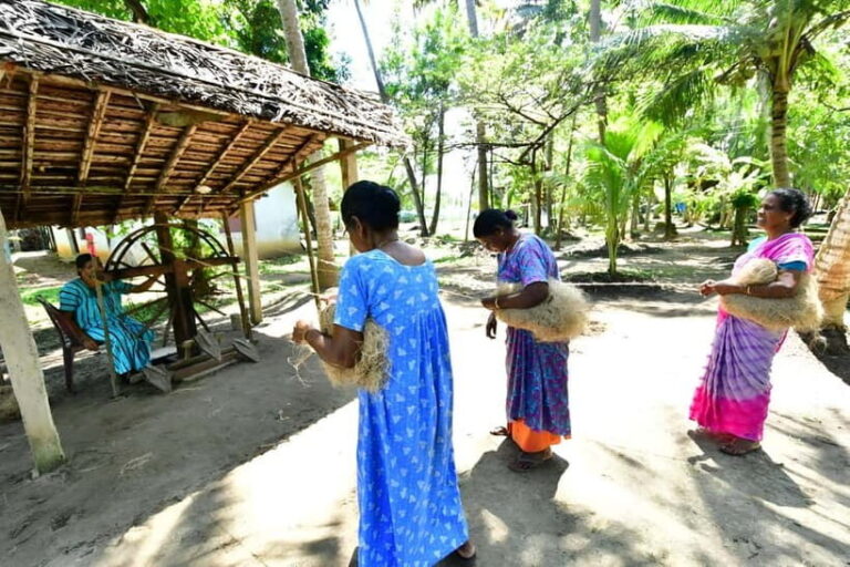Kochi: Backwater Village Guided Visit with Meal - A Detailed Look at the Kochi Backwater Village Tour