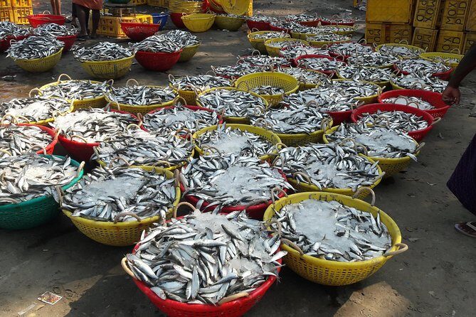 Kochi Fishing Village Excursion. - Who Should Consider This Tour?