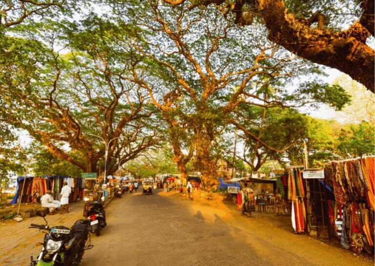 Kochi Insta Photo Walk with Tuk Tuk Ride Experience - A Deep Dive into the Experience