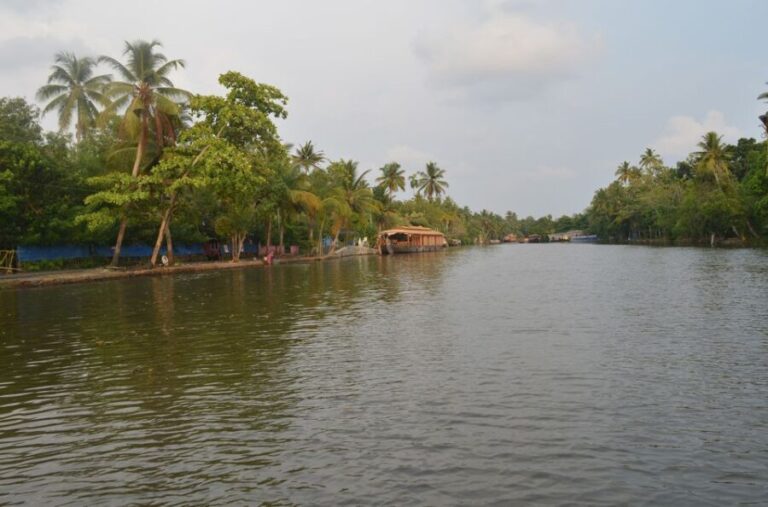 Kochi: Private Backwater Houseboat Day Cruise with Transfers - The Culinary Experience