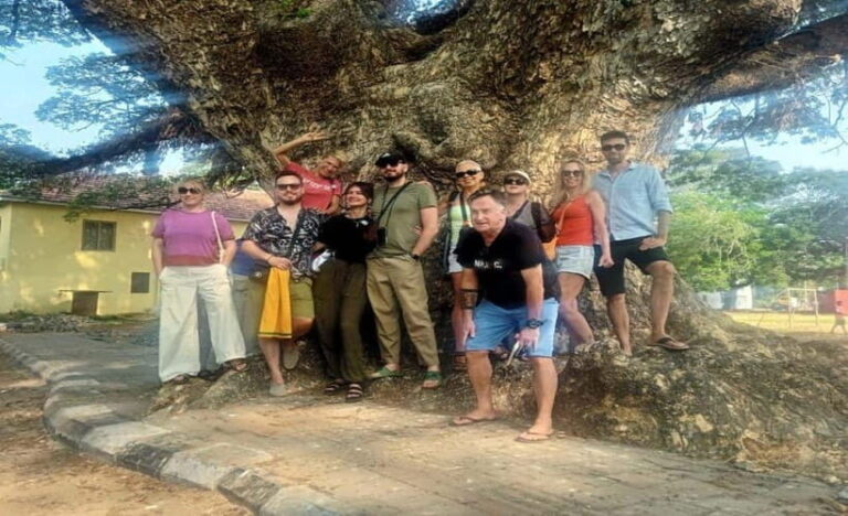 Kochi: Tuk-Tuk Tour with Pickup from Cruise Ships - The Realities of the Tour — A Balanced View