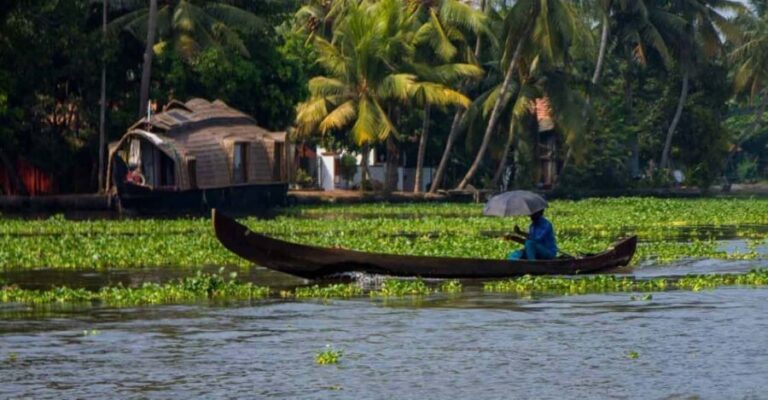 Kochi: Ultimate Kerala and Kumbalangi Village Same Day Tour - Why This Tour Offers Good Value