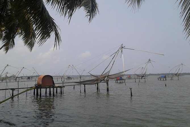 Kochi Village Life Experience tour - The Real Tour of Kochi ! - What Travelers Are Saying