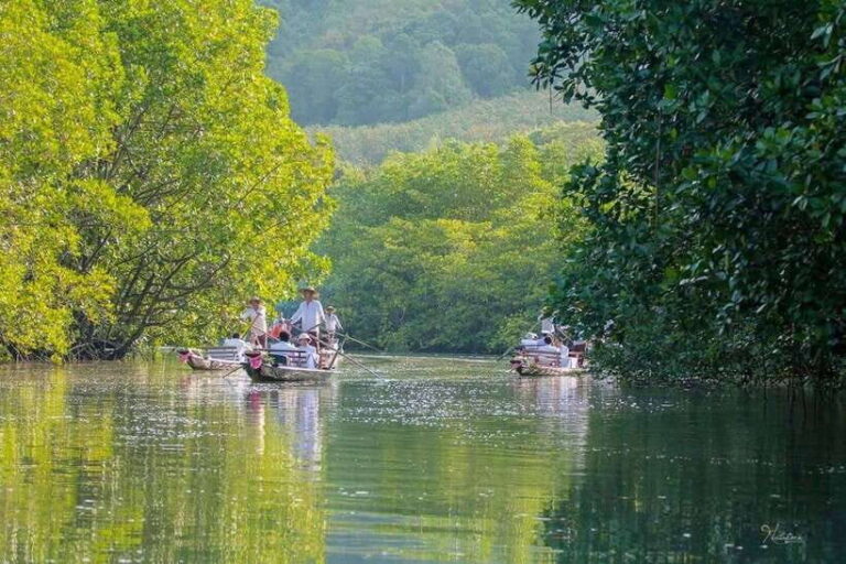 Koh Chang: Mangrove Forest Gondola Tour - Analyzing the Value