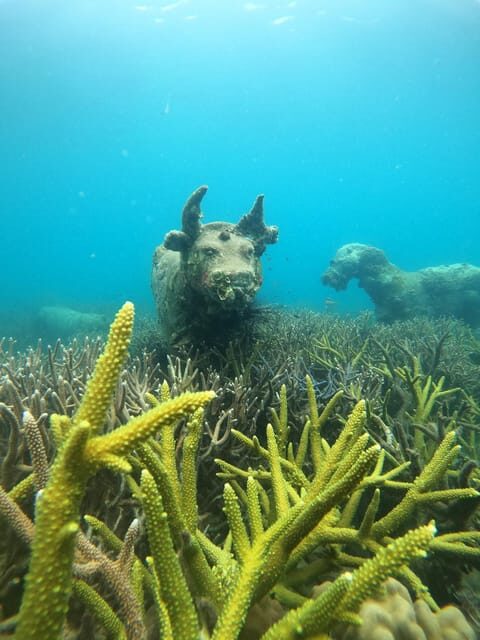 Koh Kood or Koh Rang: Snorkeling trip with lunch & transfer - The Sum Up: Who Should Consider This Tour?