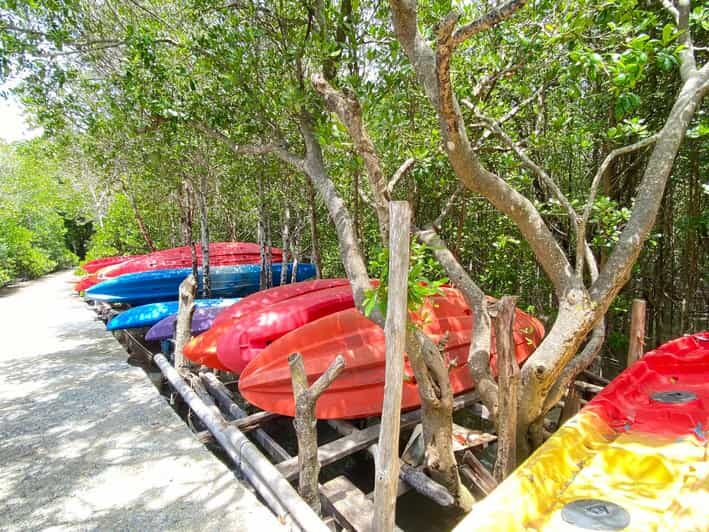 Koh Lanta:Mangrove + Elephant Camp Half Day Tour - Breaking Down the Itinerary