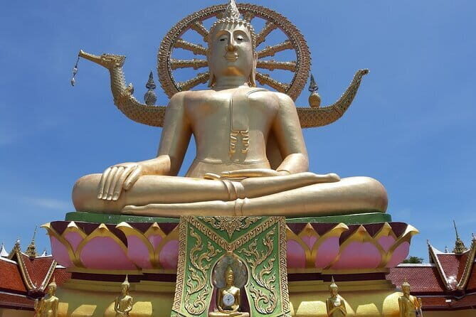 Koh Samui Jungle Discovery Tour with Hotel Transfers - Who Is This Tour Best For?