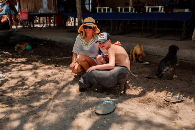Koh Samui: Pig Island Day Tour by Speedboat - What Makes This Tour Stand Out?