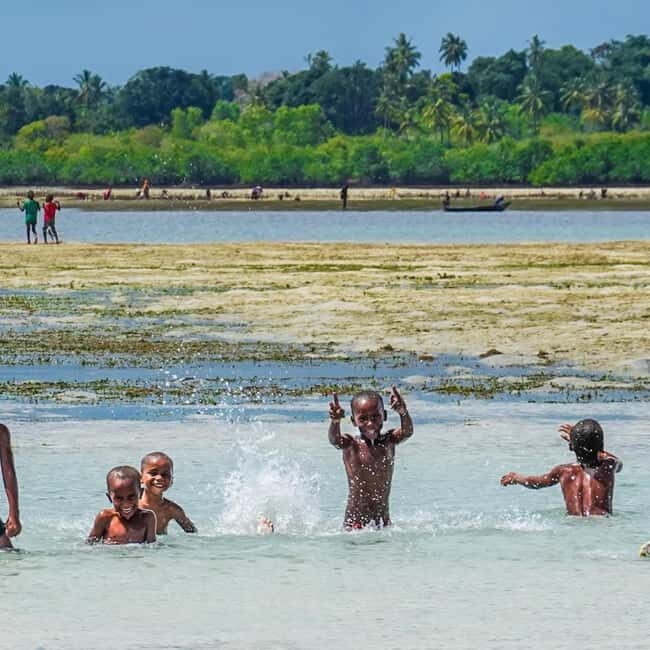 Kojani Island: SHOBE Dance Tour with Workshop & Tastings - An In-Depth Look at the Kojani SHOBE Tour