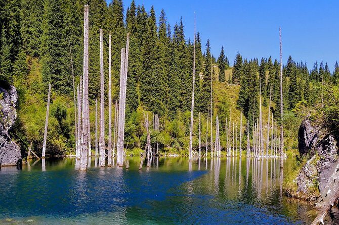 Kolsai & Kaindy Lakes + Charyn Canyon private 2-day tour - Day 2: From Lakes to Hidden Forests and Returning with Scenic Vistas