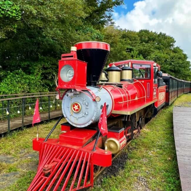 Korea Mt. Hallasan Echoland Park Forest Train & Entry Ticket - What Makes This Experience Stand Out