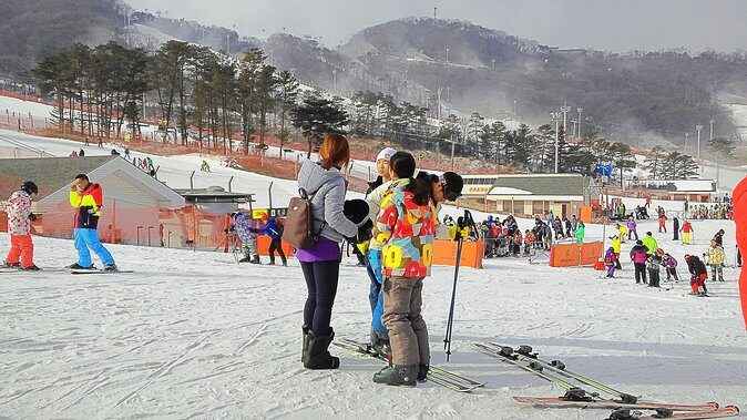 Korea Ski Tour from Seoul - Jisan Forest Resort - Arriving at Jisan Forest Resort: What’s in Store