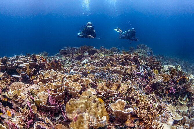 Kota Kinabalu Leisure Scuba Diving Trip (3 Dives) - What’s Included and What’s Not?