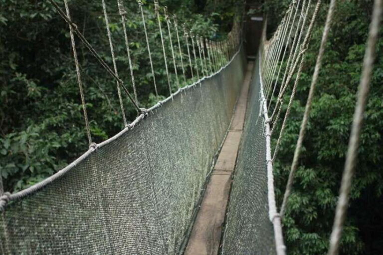 Kota Kinabalu: Private Kundasang and Poring Hot Spring Tour - Who Is This Tour Best For?