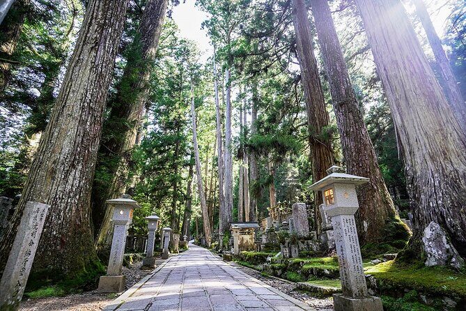 Koyasan Day Trip by Private Car from Osaka - What Makes This Tour Stand Out