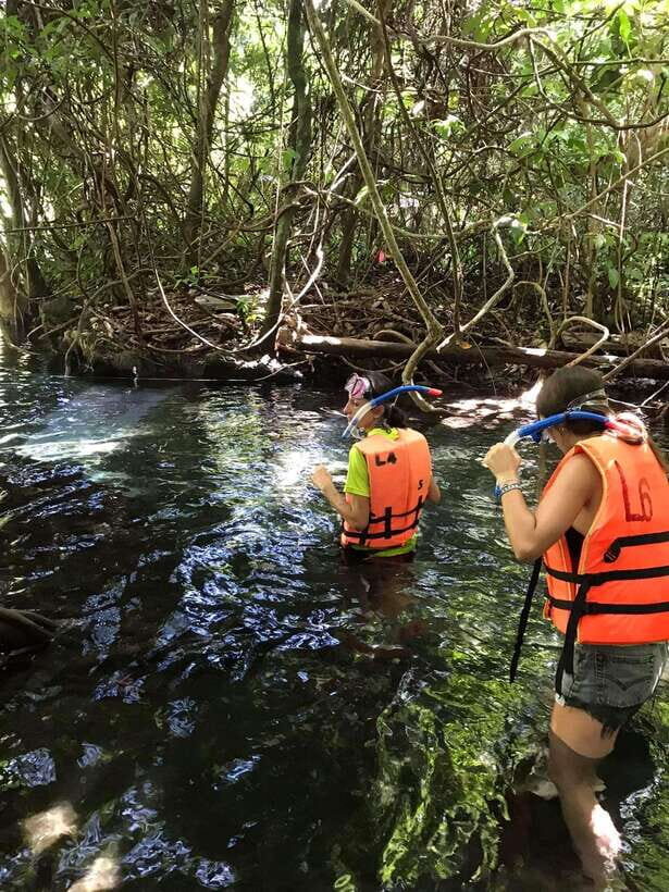 Krabi: Amazon Klong Srakaew Kayaking With Lunch - Who Will Enjoy This Tour?