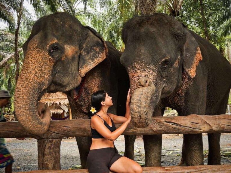 Krabi: Elephant Feeding Program - Who Will Love This Tour?