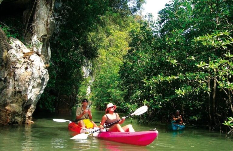 Krabi: Guided Kayaking Tour at Ao Thalane - The Experience for Different Travelers
