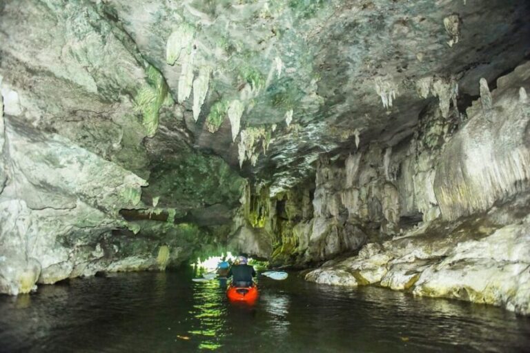 Krabi: Half-Day Bor Thor Mangrove Kayaking Tour - An In-Depth Look at the Bor Thor Kayaking Experience
