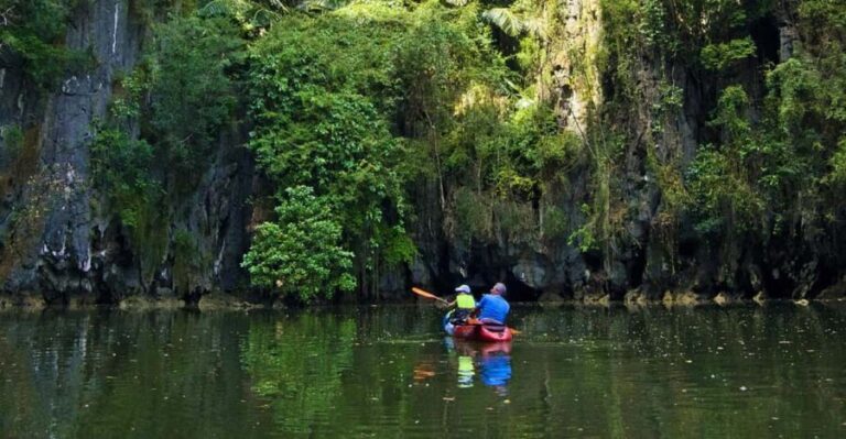 Krabi: Kayak Adventure through Ao Thalane Mangrove Forest - Who Will Love This Tour?