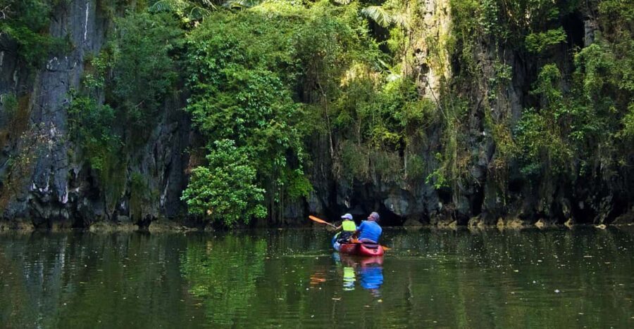Krabi: Kayak Adventure through Ao Thalane Mangrove Forest - Who Will Love This Tour?