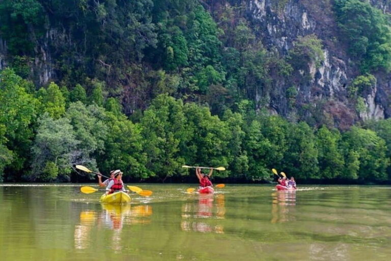 Krabi: Mangrove Kayak Adventure in Boh Tor, Ao Luek - The Practicalities: What You Need to Know