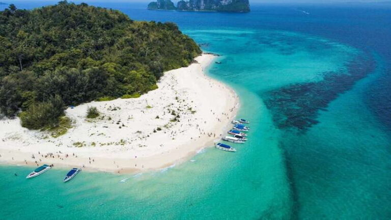 Krabi: Phi Phi Islands Speedboat Tour with Buffet Lunch - What the Reviews Say