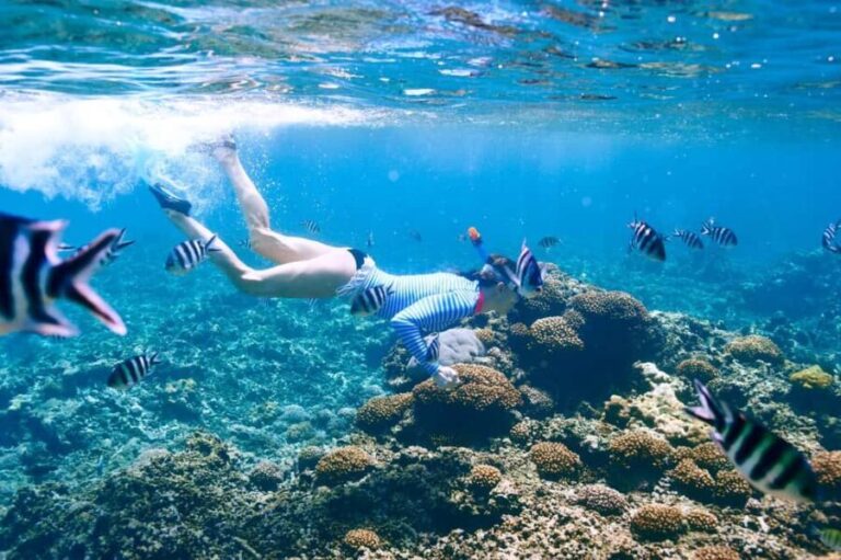 Krabi: Premium Phi Phi Islands Day Trip with Lunch & Snorkel - The Sum Up: A Solid Day for Sightseeing and Snorkeling