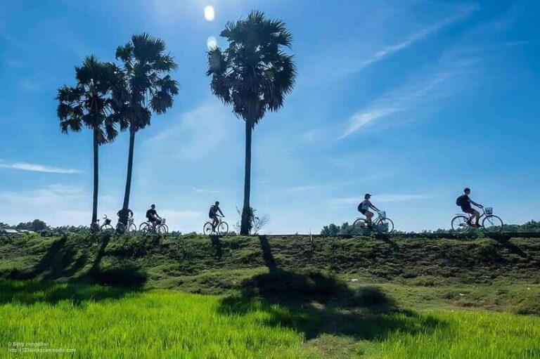 Kratie: Koh Trong Island Cycle Tour with Snacks - What We Like & What to Consider
