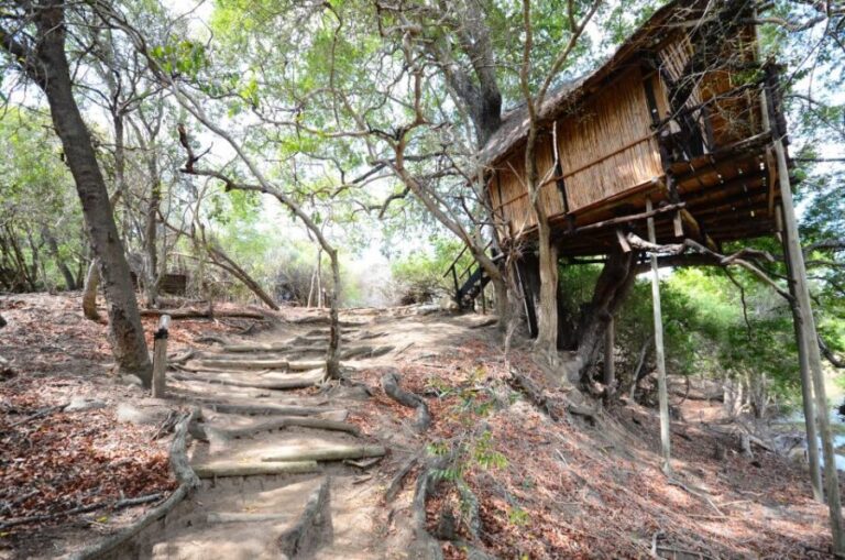 Kruger National Park: 3-Day Safari Tour and Treehouse Stay - What Travelers Can Expect