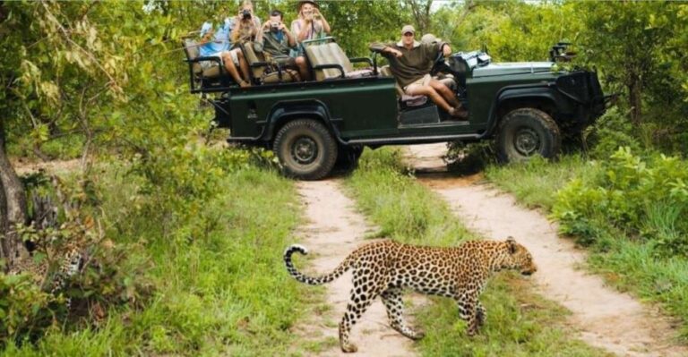 Kruger National Park - 4 Day Tour from Johannesburg - What Makes This Tour Valuable?
