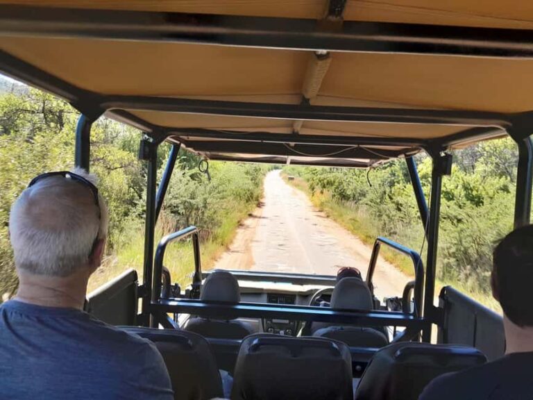 Kruger National Park: 4-Day Ultimate Safari Tour - Accommodation: Comfortable Lodge Inside Kruger