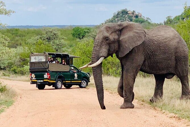 Kruger National Park Afternoon Private safari - The Bottom Line